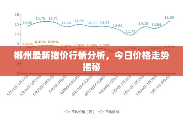 郴州最新豬價行情分析，今日價格走勢揭秘