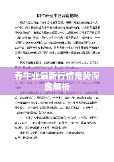 養(yǎng)牛業(yè)最新行情走勢深度解析