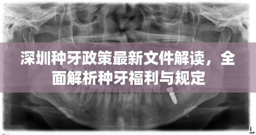 深圳種牙政策最新文件解讀，全面解析種牙福利與規(guī)定