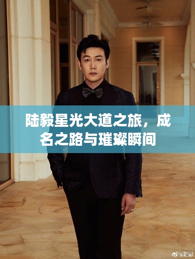 陸毅星光大道之旅，成名之路與璀璨瞬間