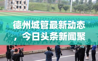 德州城管最新動(dòng)態(tài)，今日頭條新聞聚焦城市管理