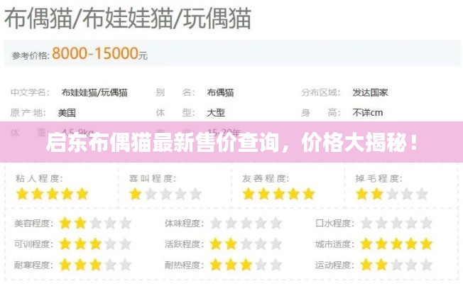 啟東布偶貓最新售價(jià)查詢，價(jià)格大揭秘！