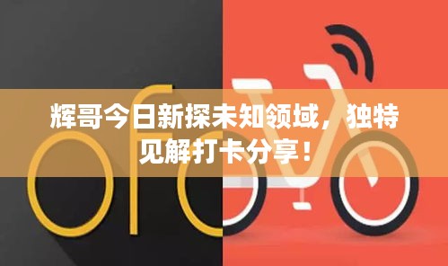 輝哥今日新探未知領(lǐng)域，獨(dú)特見解打卡分享！