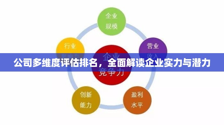 公司多維度評(píng)估排名，全面解讀企業(yè)實(shí)力與潛力