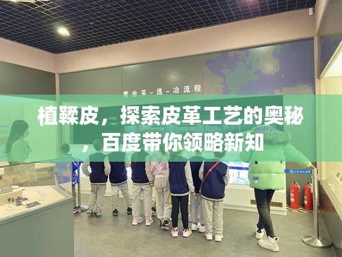 植鞣皮，探索皮革工藝的奧秘，百度帶你領(lǐng)略新知