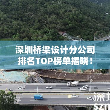 深圳橋梁設(shè)計分公司排名TOP榜單揭曉！