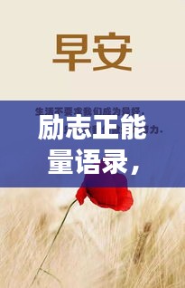 勵(lì)志正能量語錄，激發(fā)你內(nèi)心力量的情感寄語