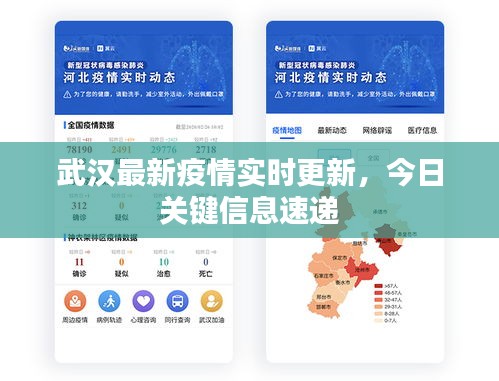 武漢最新疫情實時更新，今日關(guān)鍵信息速遞