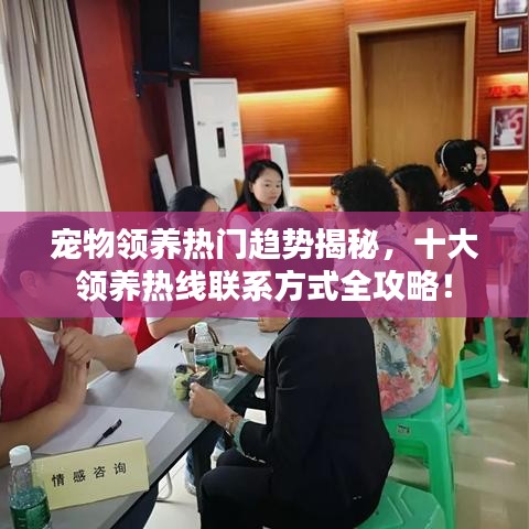 寵物領(lǐng)養(yǎng)熱門趨勢(shì)揭秘，十大領(lǐng)養(yǎng)熱線聯(lián)系方式全攻略！