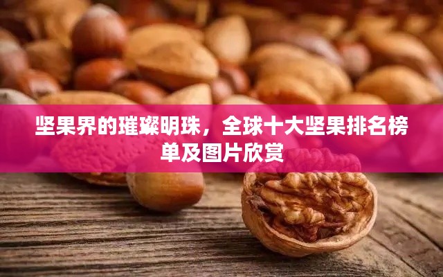 堅(jiān)果界的璀璨明珠，全球十大堅(jiān)果排名榜單及圖片欣賞