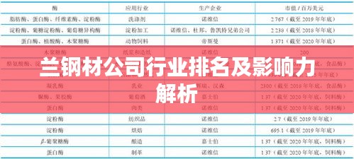 蘭鋼材公司行業(yè)排名及影響力解析