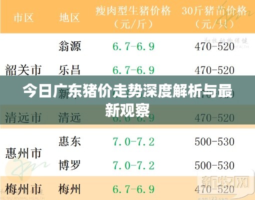 今日廣東豬價(jià)走勢(shì)深度解析與最新觀察