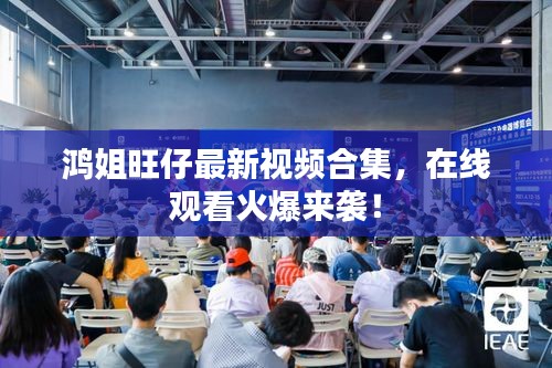 鴻姐旺仔最新視頻合集，在線觀看火爆來襲！