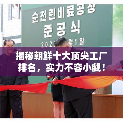 揭秘朝鮮十大頂尖工廠排名，實力不容小覷！
