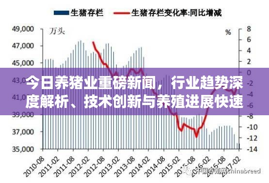 今日養(yǎng)豬業(yè)重磅新聞，行業(yè)趨勢深度解析、技術創(chuàng)新與養(yǎng)殖進展快速更新