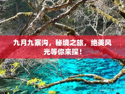 九月九寨溝，秘境之旅，絕美風光等你來探！
