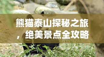 熊貓?zhí)┥教矫刂?，絕美景點全攻略！