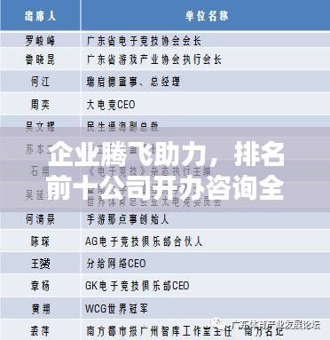 企業(yè)騰飛助力，排名前十公司開辦咨詢全解析