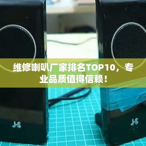 維修喇叭廠家排名TOP10，專業(yè)品質(zhì)值得信賴！