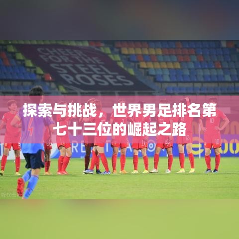 探索與挑戰(zhàn)，世界男足排名第七十三位的崛起之路