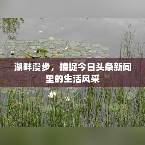 湖畔漫步，捕捉今日頭條新聞里的生活風采