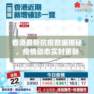 香港最新抗疫數(shù)據(jù)揭秘，疫情動態(tài)實時更新
