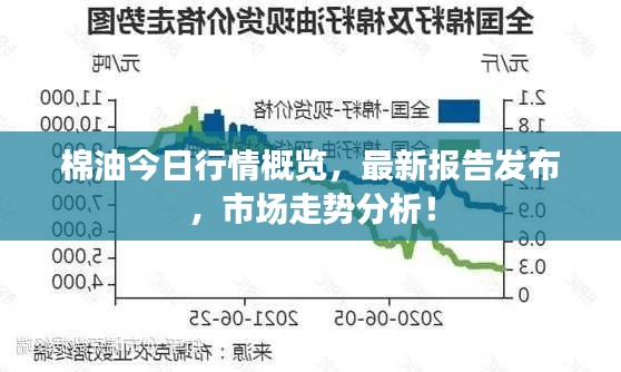 棉油今日行情概覽，最新報告發(fā)布，市場走勢分析！