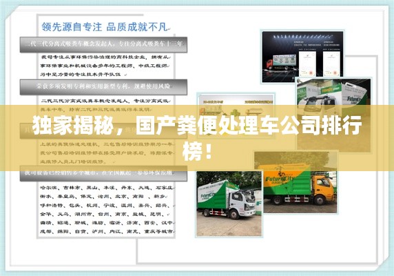 獨(dú)家揭秘，國產(chǎn)糞便處理車公司排行榜！