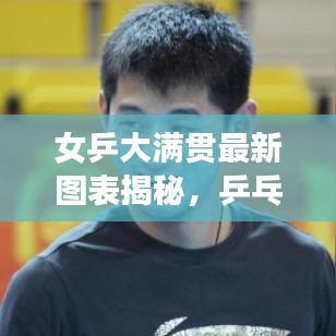 女乒大滿貫最新圖表揭秘，乒乓球界的榮耀成就全解析