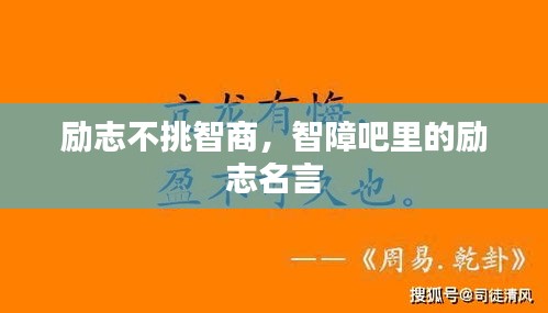 勵(lì)志不挑智商，智障吧里的勵(lì)志名言