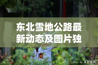 東北雪地公路最新動(dòng)態(tài)及圖片獨(dú)家報(bào)道