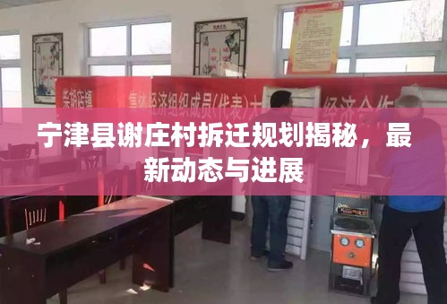 寧津縣謝莊村拆遷規(guī)劃揭秘，最新動態(tài)與進展