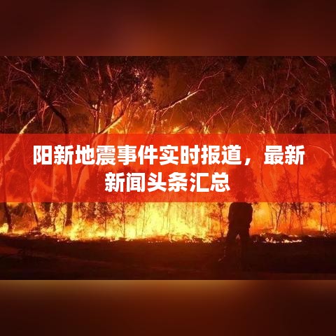 陽新地震事件實時報道，最新新聞頭條匯總