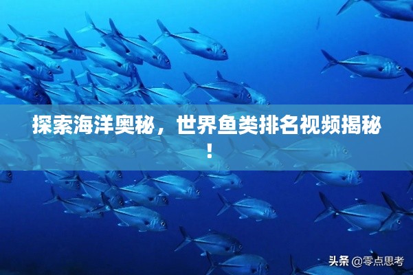探索海洋奧秘，世界魚(yú)類(lèi)排名視頻揭秘！