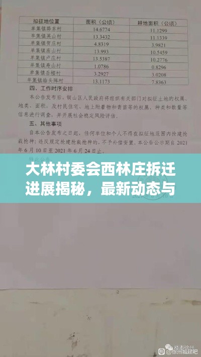 大林村委會(huì)西林莊拆遷進(jìn)展揭秘，最新動(dòng)態(tài)與消息匯總