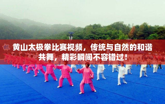 黃山太極拳比賽視頻，傳統(tǒng)與自然的和諧共舞，精彩瞬間不容錯過！