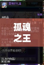 孤魂之王攻略大全，秘籍、技巧一網(wǎng)打盡（最新更新）