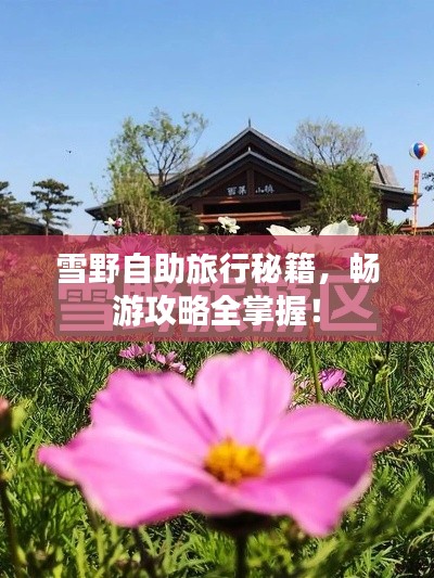 雪野自助旅行秘籍，暢游攻略全掌握！