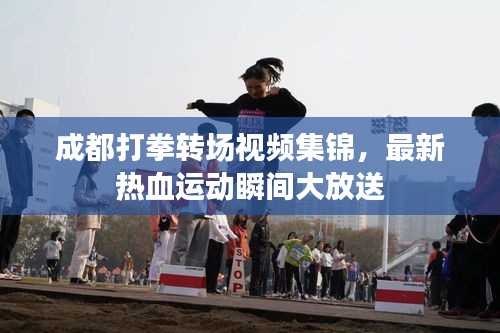 成都打拳轉(zhuǎn)場(chǎng)視頻集錦，最新熱血運(yùn)動(dòng)瞬間大放送