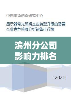 濱州分公司影響力排名及地位分析