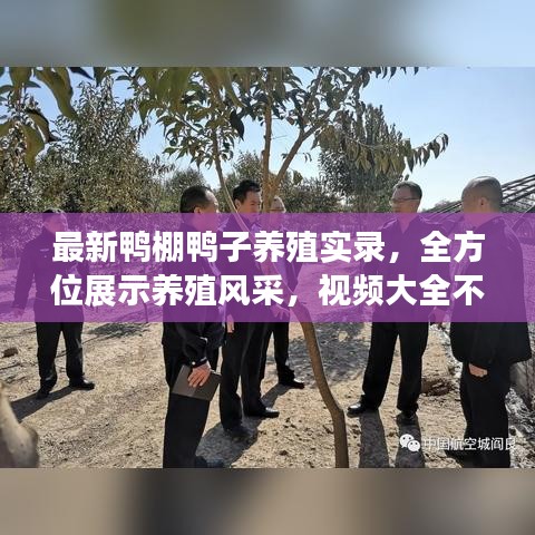 最新鴨棚鴨子養(yǎng)殖實(shí)錄，全方位展示養(yǎng)殖風(fēng)采，視頻大全不容錯(cuò)過(guò)