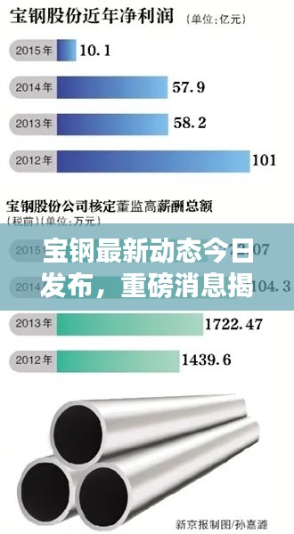 寶鋼最新動(dòng)態(tài)今日發(fā)布，重磅消息揭秘，行業(yè)矚目！