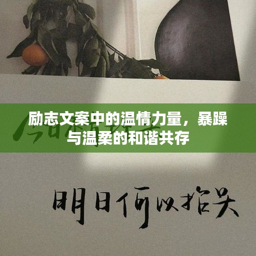 勵志文案中的溫情力量，暴躁與溫柔的和諧共存