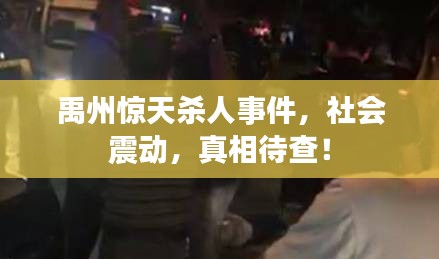禹州驚天殺人事件，社會(huì)震動(dòng)，真相待查！