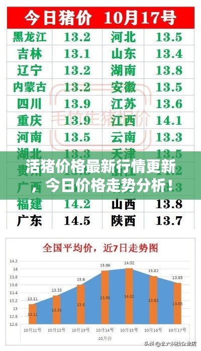 活豬價(jià)格最新行情更新，今日價(jià)格走勢(shì)分析！