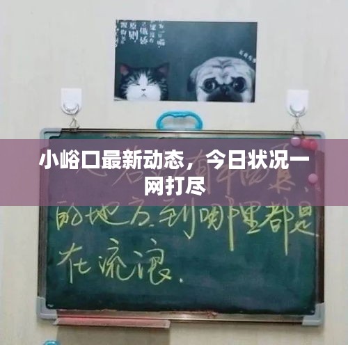 小峪口最新動態(tài)，今日狀況一網打盡