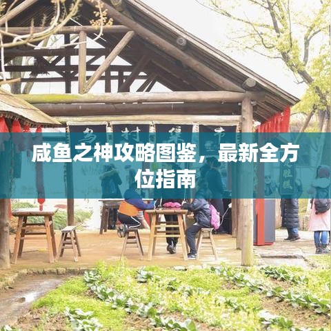 咸魚(yú)之神攻略圖鑒，最新全方位指南