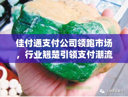 佳付通支付公司領(lǐng)跑市場，行業(yè)翹楚引領(lǐng)支付潮流排名揭秘