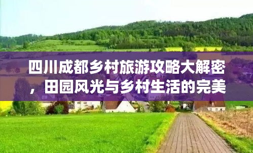 四川成都鄉(xiāng)村旅游攻略大解密，田園風光與鄉(xiāng)村生活的完美體驗