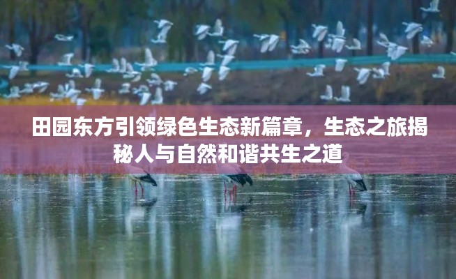 田園東方引領綠色生態(tài)新篇章，生態(tài)之旅揭秘人與自然和諧共生之道